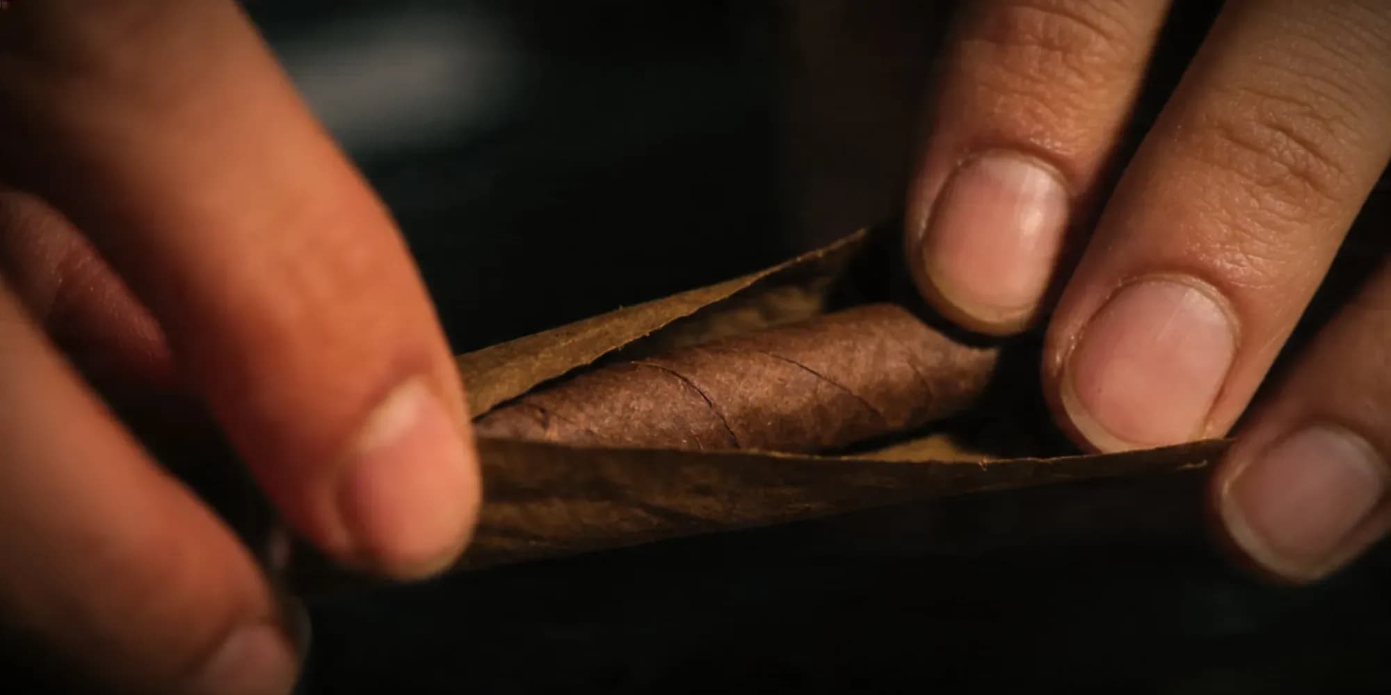 Blunt rollen Schritt 4 — Tobacco-Wrap vorsichtig einrollen Nahaufnahme